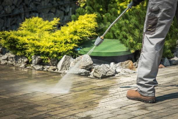 Best Gutter Cleaning  in Runnemede, NJ