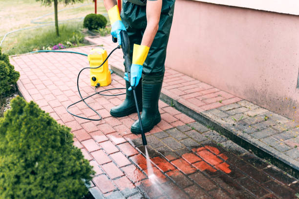 Best Animal Enclosure Cleaning  in Runnemede, NJ
